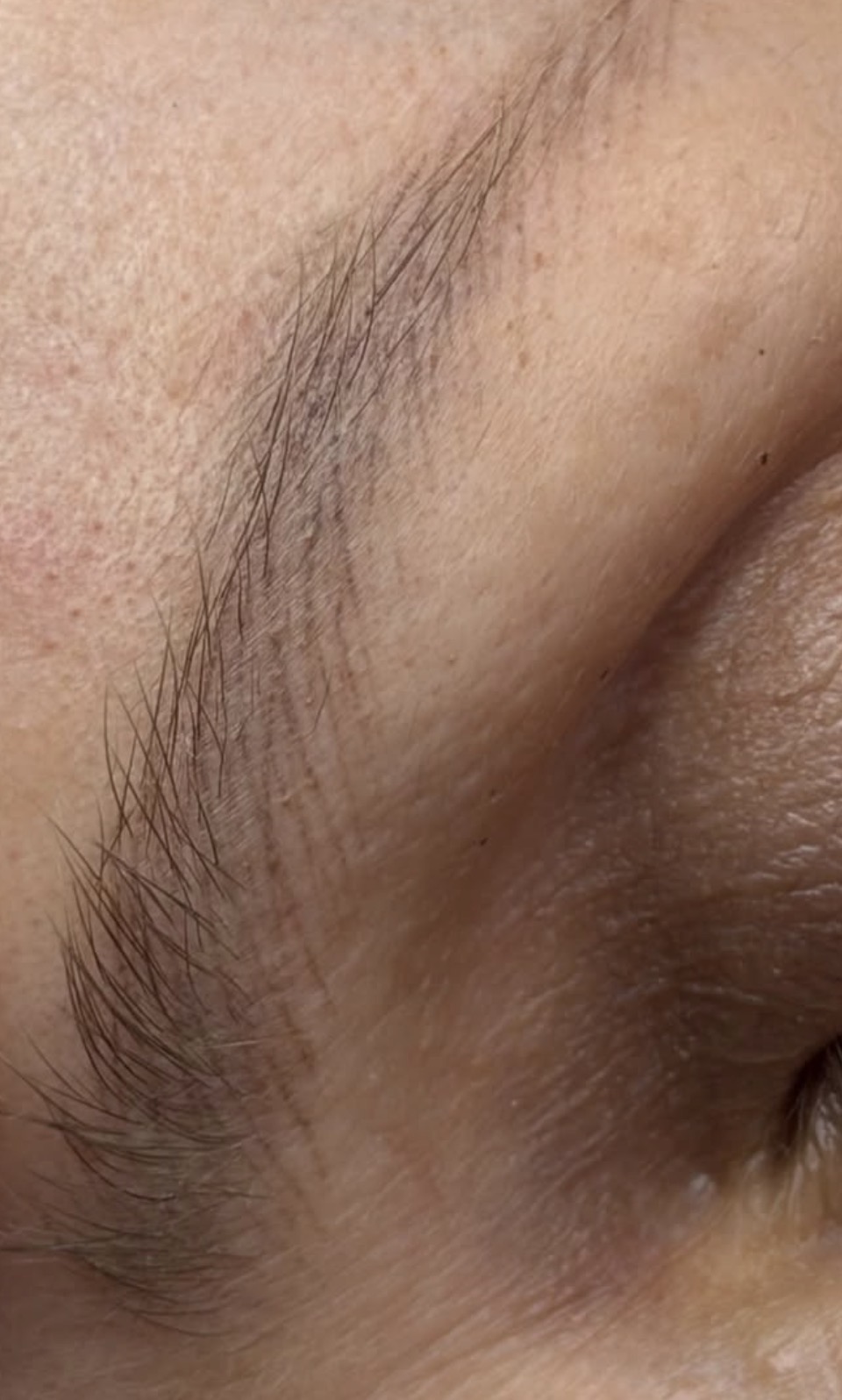 Healed Breath Brows nano hairstrokes close-up Lisbon — Browboutique