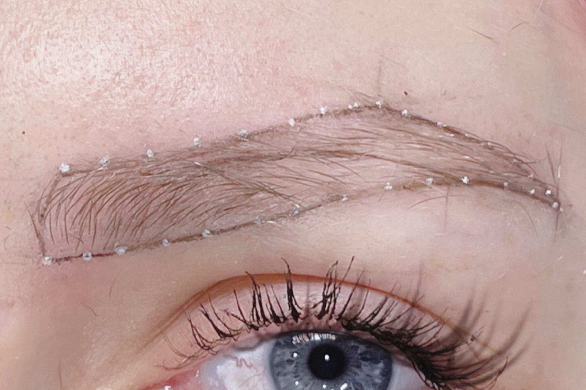PhiBrows golden ratio brow mapping frame by Sabrina Zanin — Browboutique Cascais
